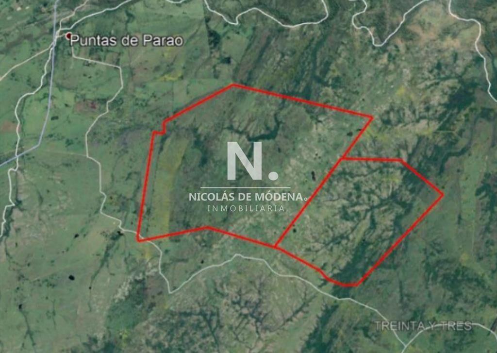Campo ganadero en venta.