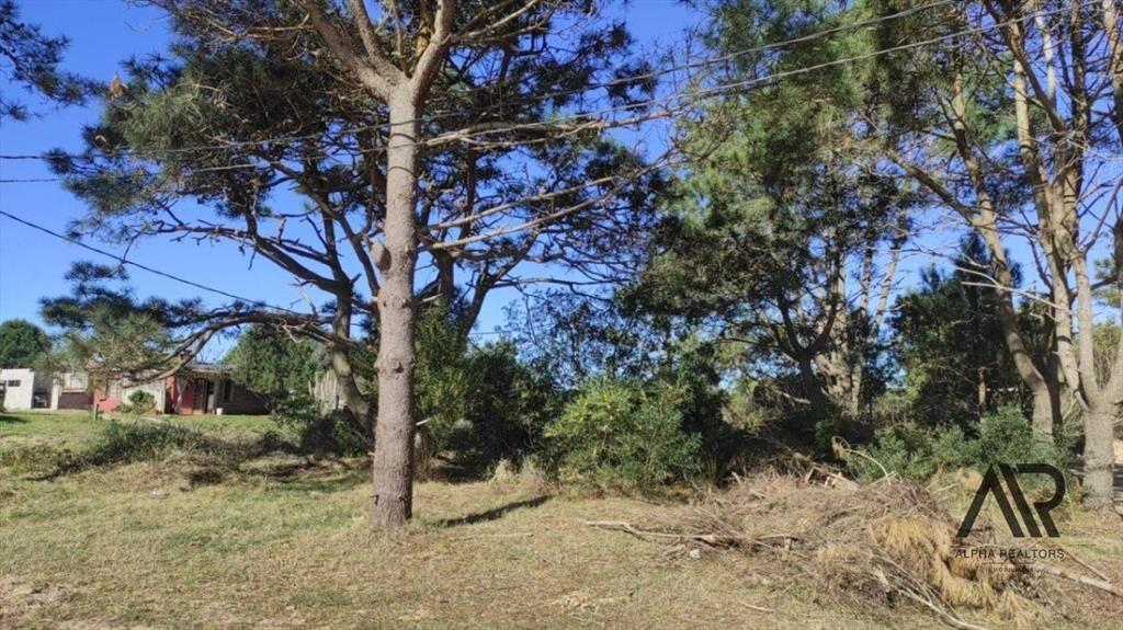 Terreno en venta de 592m2 ubicado en Punta del Diablo