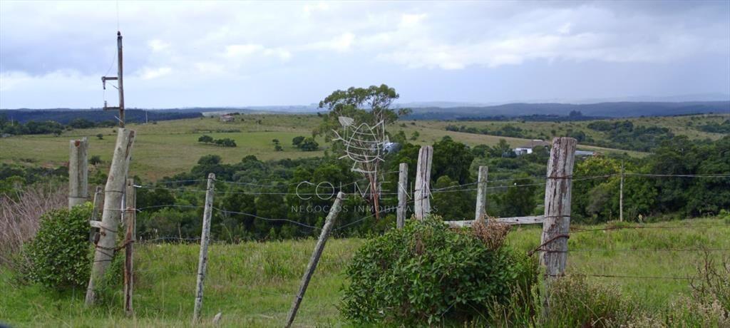 Campo en Rocha hacia ruta 15