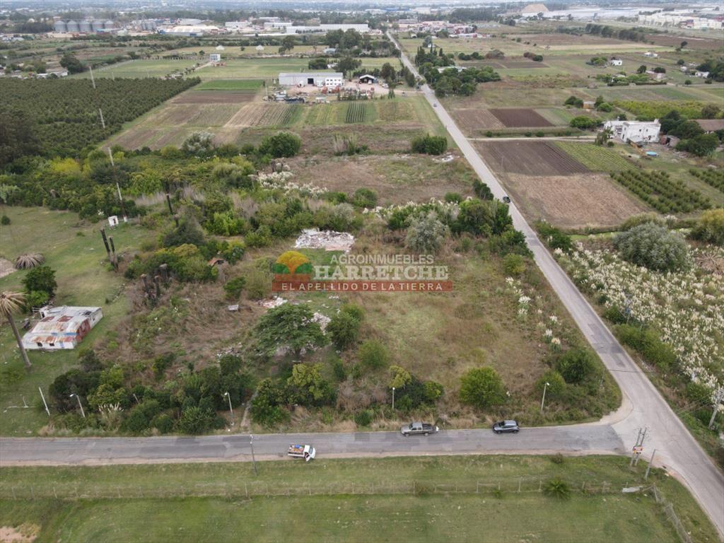 Terreno en Paso de la Arena, 15.789 m2, excelente