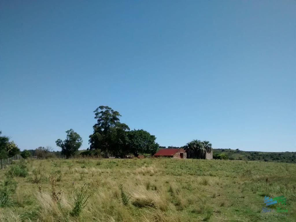 Lindo campo ganadero de 78 Has muy bien ubicado,