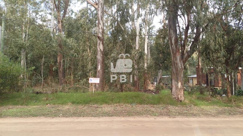 - Ref : PBI15088