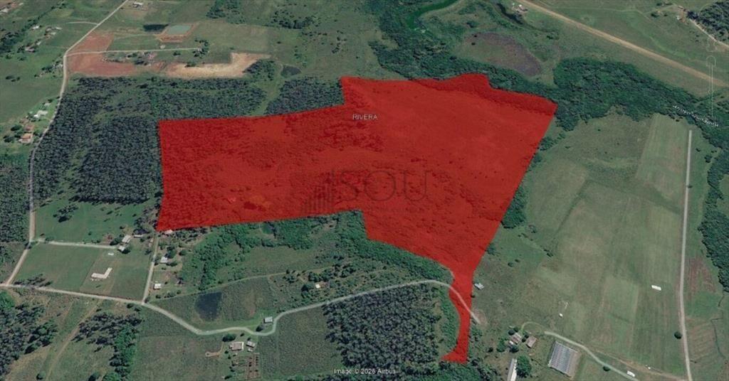 Se Vende Campo 20 Hectáreas en Rivera