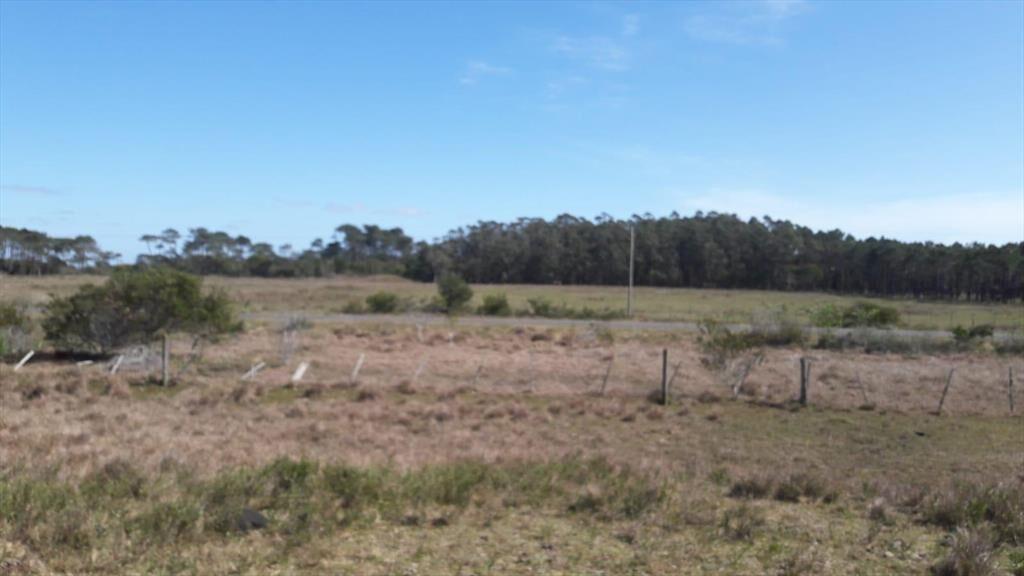Venta Terreno10 ha sobre Ruta 10 en Oceanía del Polonio, Ro
