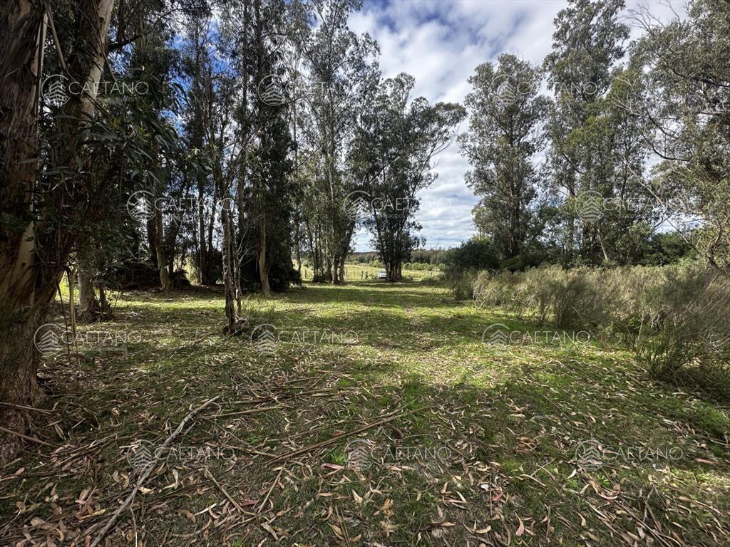 Venta chacra km 116 ruta 9. Cerca de Pan de