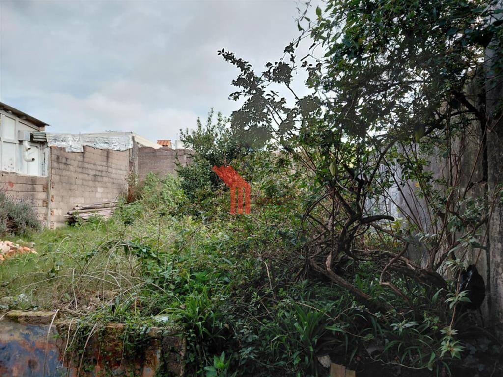 Venta casa o local con reciclaje, padrón único,