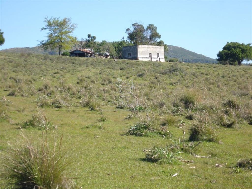 Campo 98 has con 2891 m2 en Carape cuenta con de