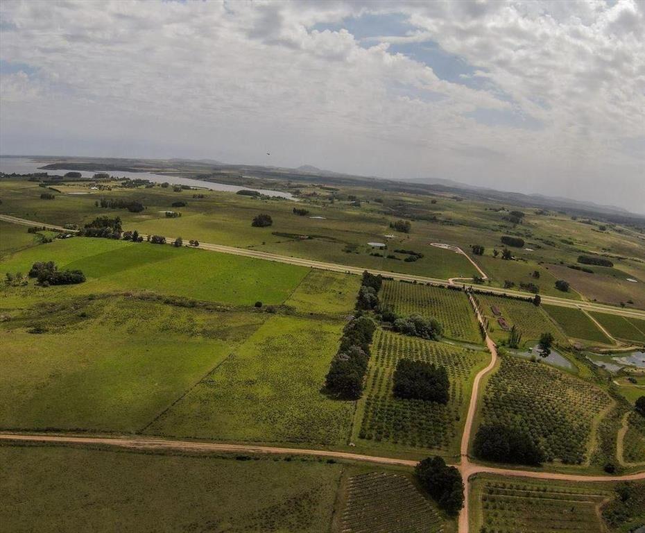 Venta chacra 5 Ha Laguna del Sauce Maldonado