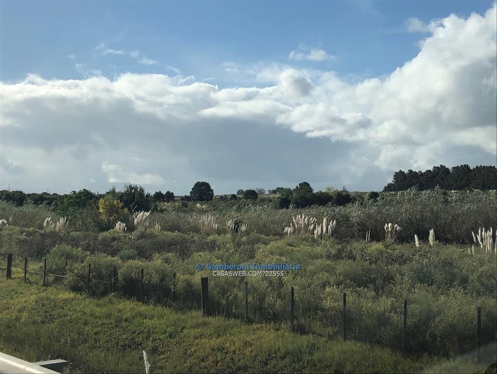 Siete hectáreas y media con frente sobre Ruta Perimetral 10