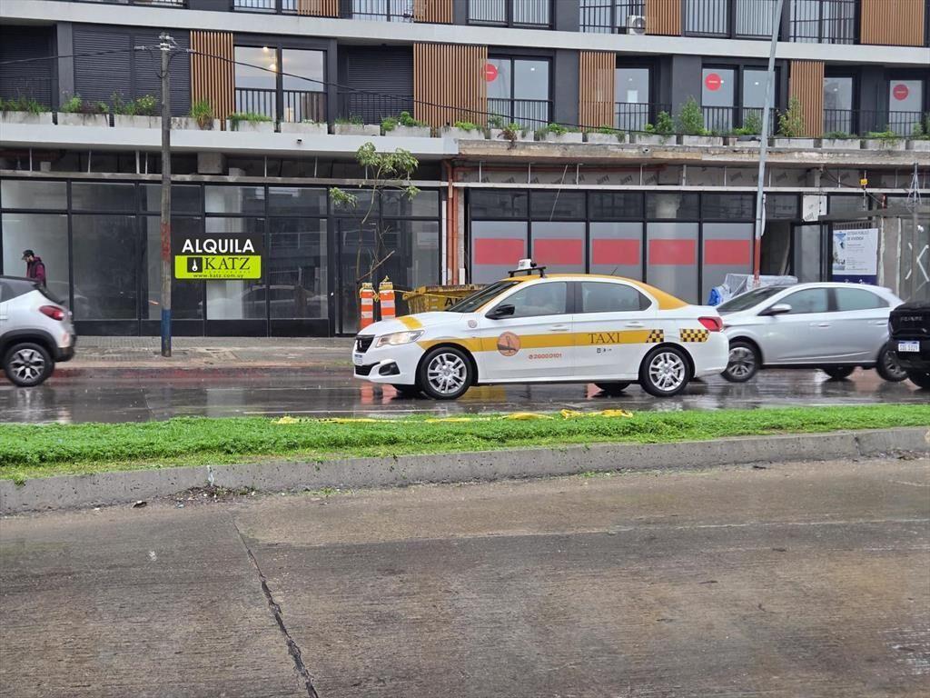 Luis Alberto de Herrera casi Joanico, 9 mts de frente, 240