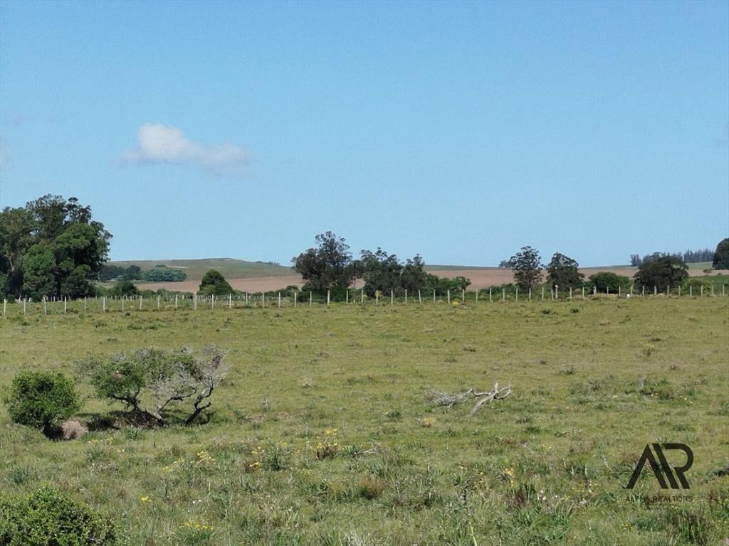 Oportunidad: Chara 5.4 de hectareas, en Ruta 104/Mananti...