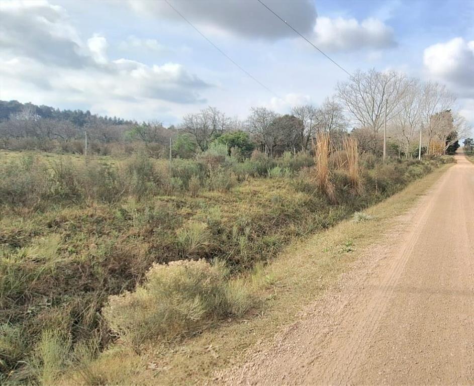 Venta de campo 3Ha. en Rincon de Pando, Canelones