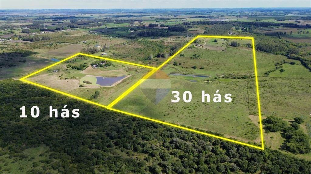 VENTA DE CAMPOS CHACRA, EN LAS BRUJAS, CERRILLOS