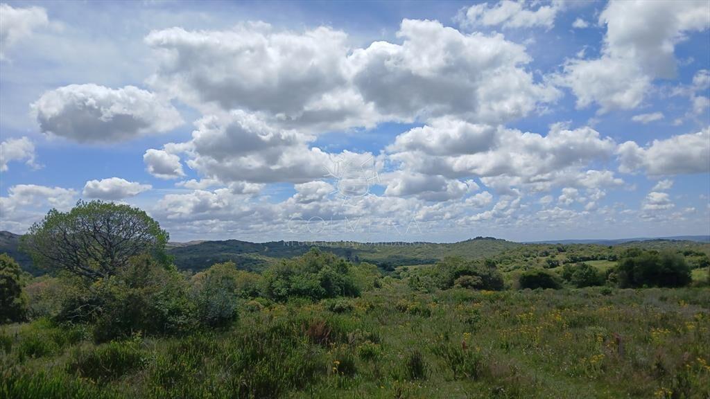 Chacra en VENTA en Aiguá