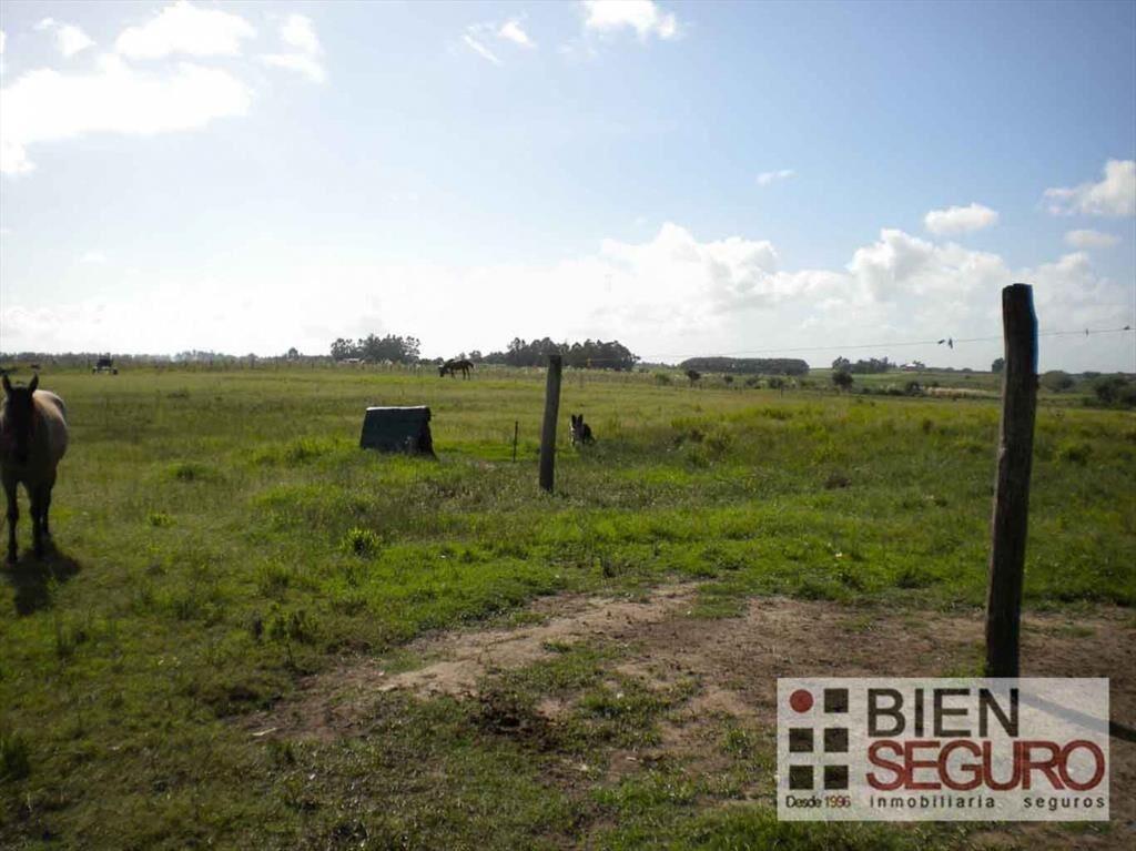 Chacra de 3 hás 6006 m², con 2 casas, en venta en Cerrillos