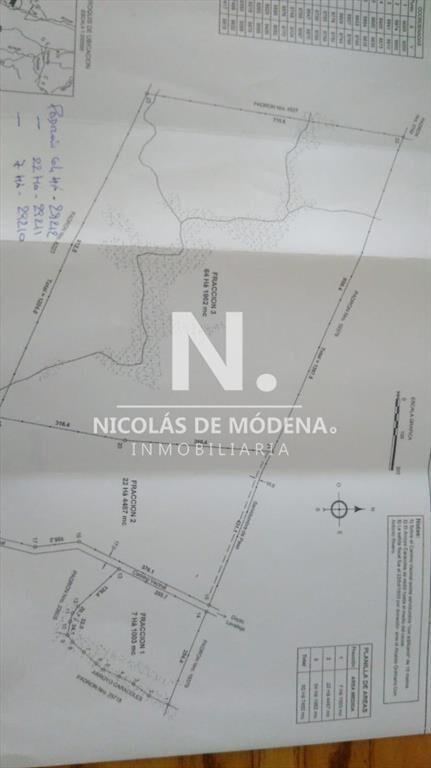 Gran oportunidad de Campo.