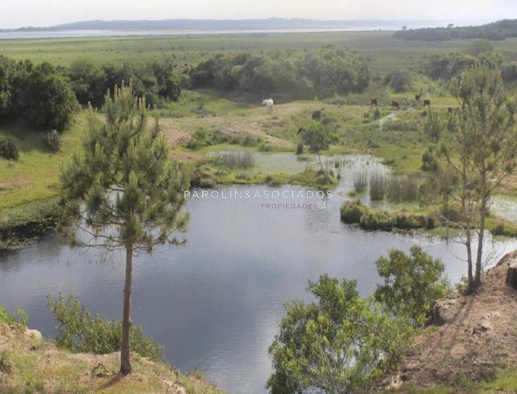 Hermosa chacra en venta en José Ignacio, Punta