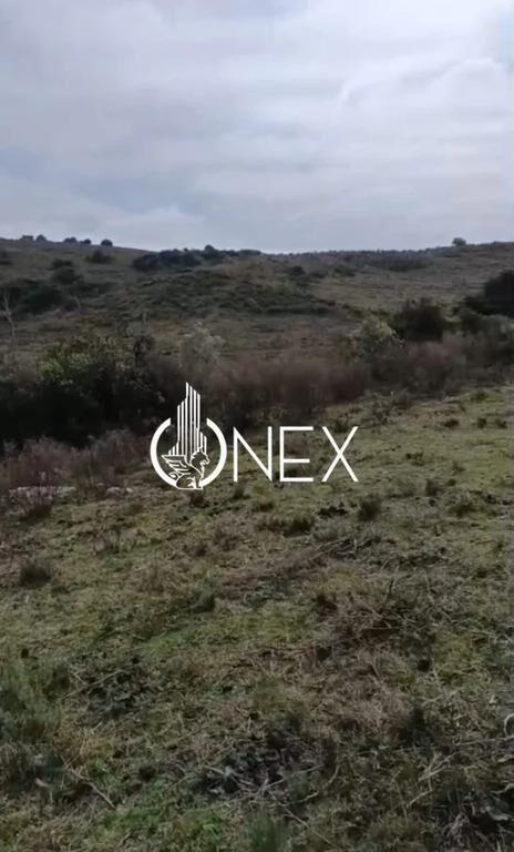 SE VENDE CHACRA DE 5 HA EN LAVALLEJA