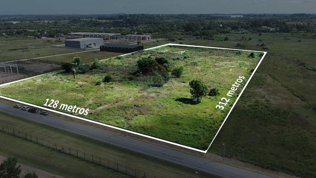 VENTA LOTE TERRENO 4HA. CAMINO DE LOS AROMOS