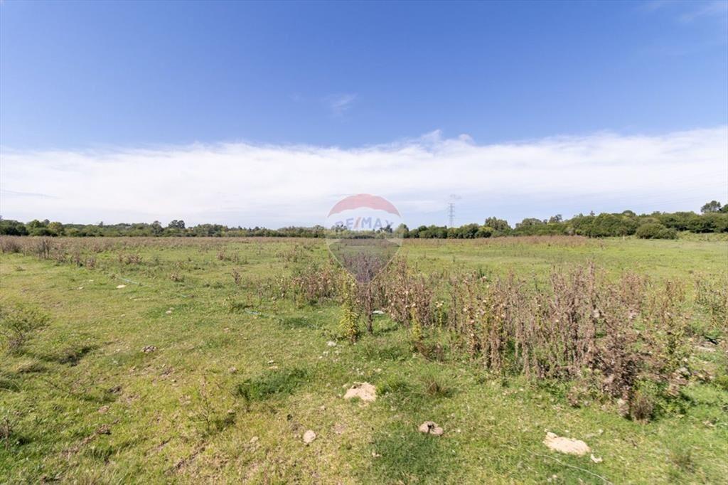 VENTA DE HECTAREAS, CAMPO EN LAS BRUJAS, CANELONES