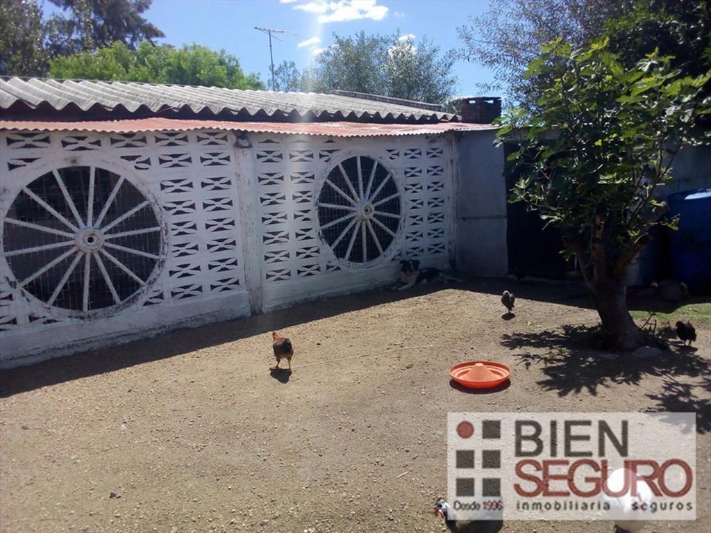 Chacra de 3 hás 6006 m², con 2 casas, en venta en Cerrillos