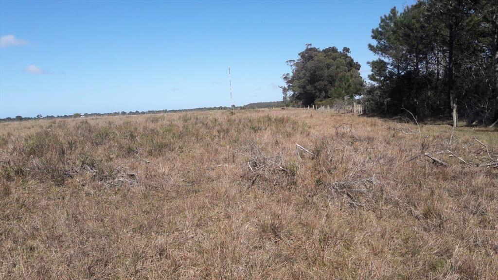 Venta Terreno10 ha sobre Ruta 10 en Oceanía del Polonio, Ro