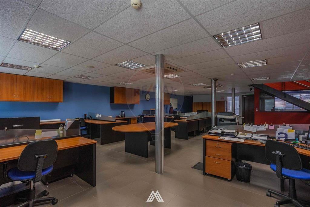 Alquiler, Oficinas Sayago