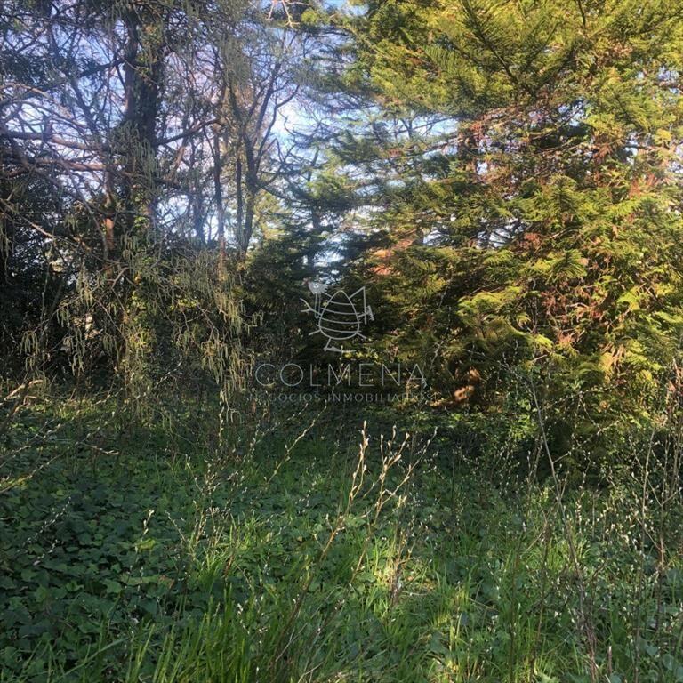 venta de terreno en San Rafael, Punta del Este