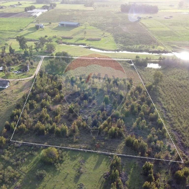 Venta de Campo 3 Ha. en Ruta 8 Km.45 Empalme Olmos
