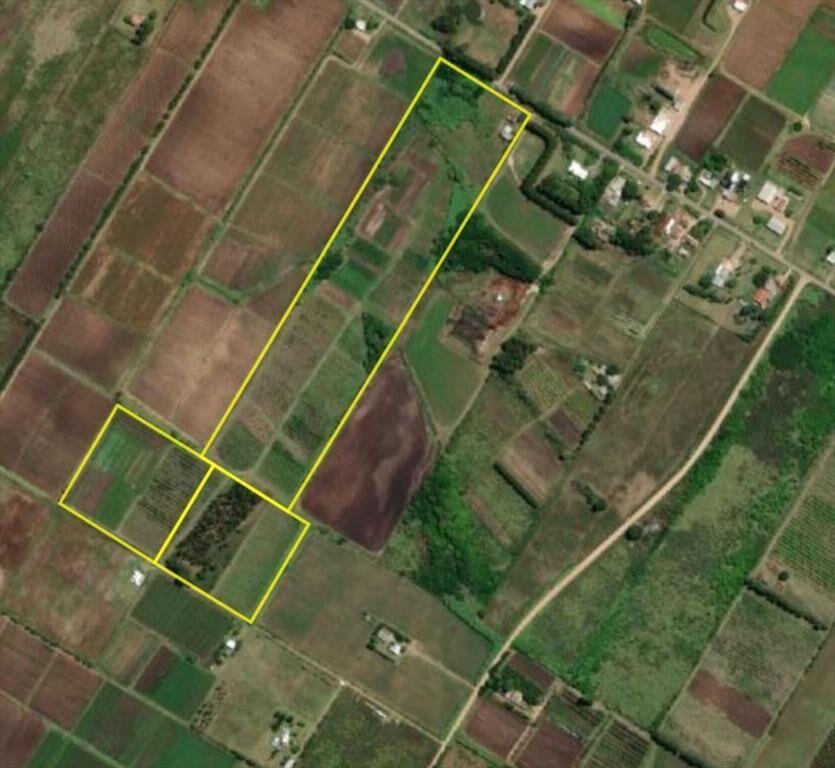 VENTA DE CHACRA DE 11 HECTÁREAS ZONA PAJAS BLANCAS