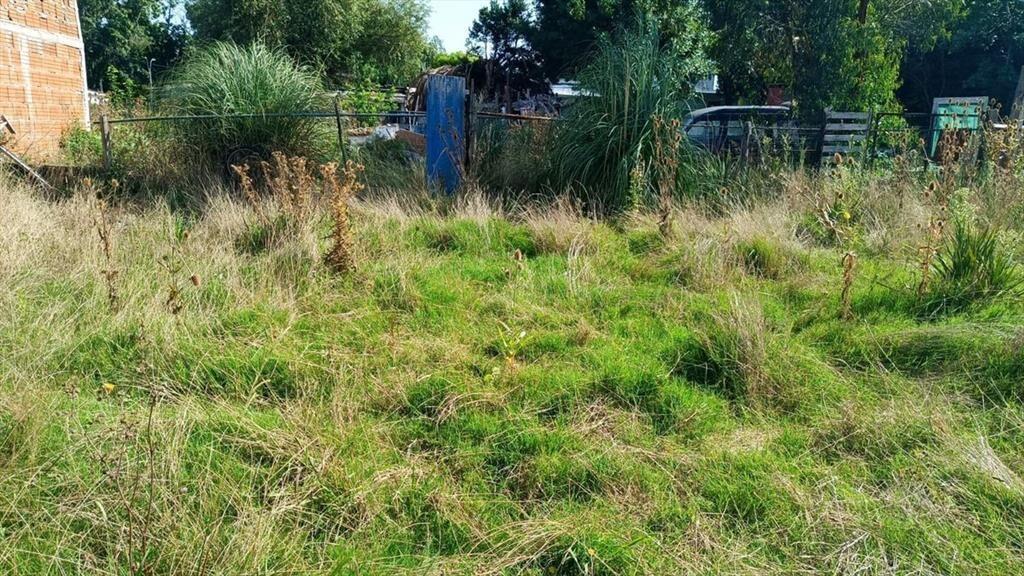Venta de Terreno en Empalme Olmos