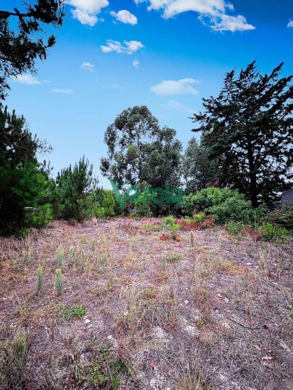 Terreno en venta Pinar sur 892 m2