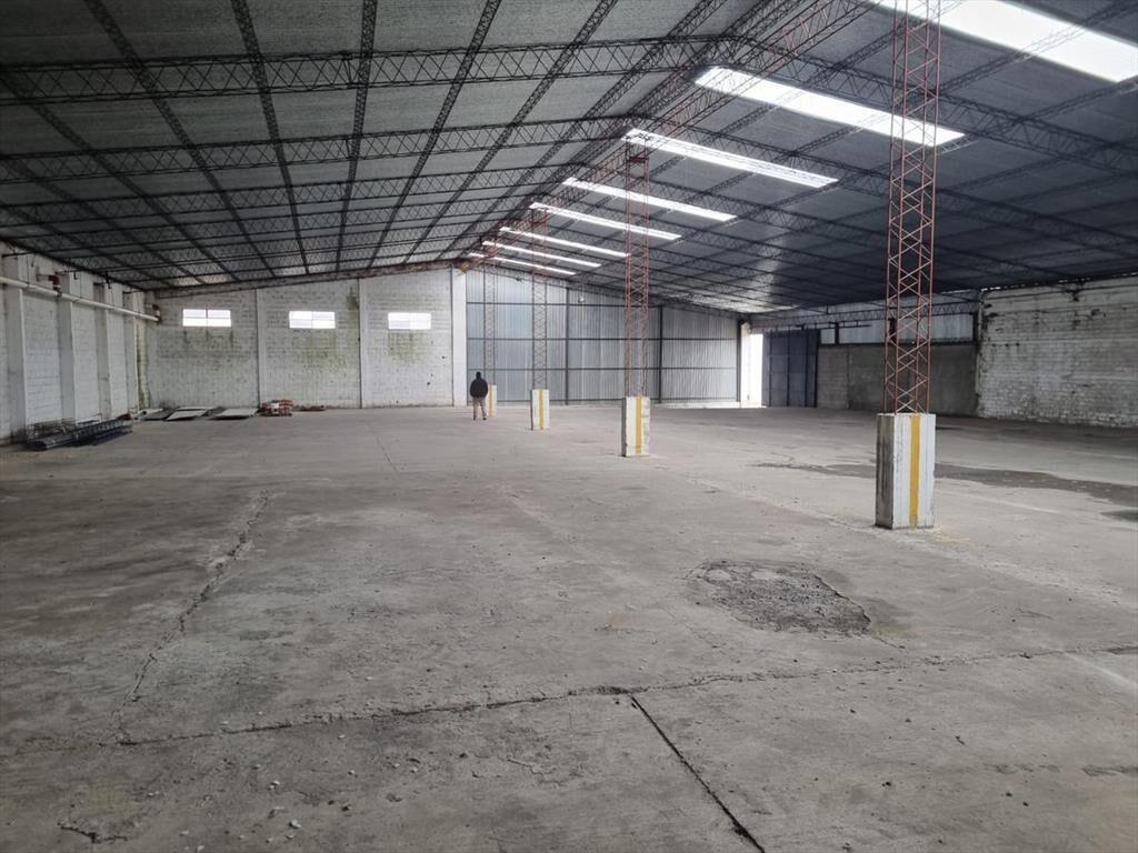 Depósito - Centro Logístico, ruta 67 próximo ruta 5,Las Pie