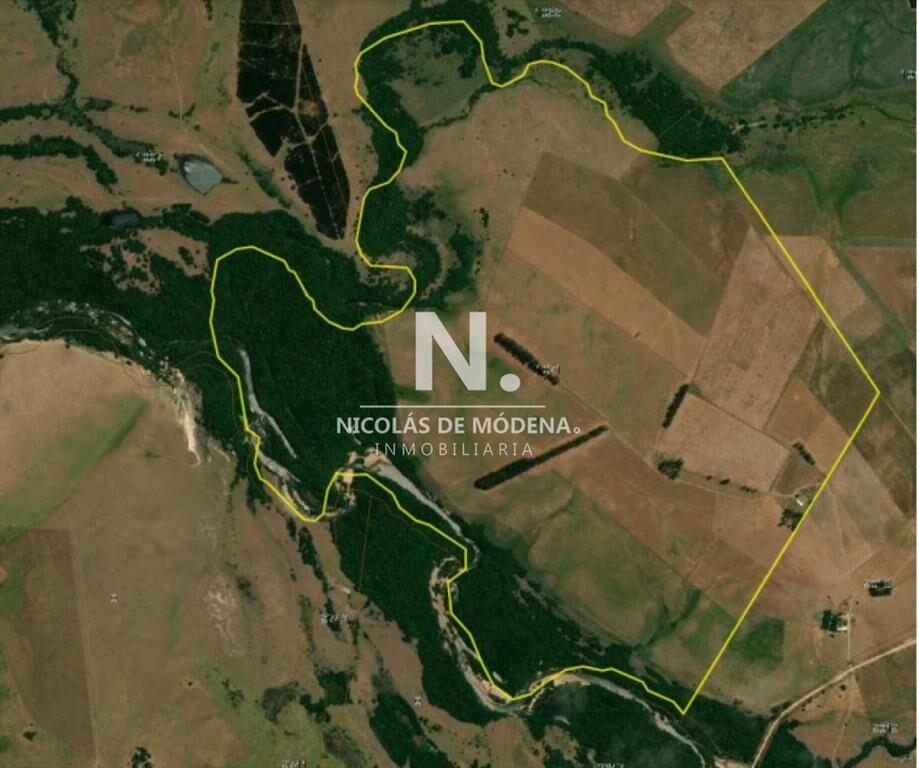 Vende campo en el Durazno de 331 hectareas