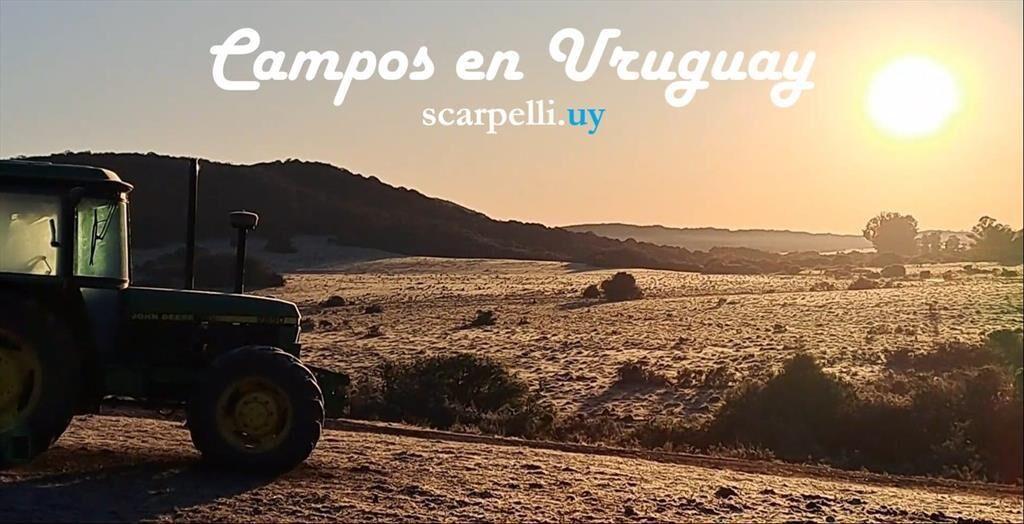 Venta Campo Invernada Rivera 86 hás costa Río Tacuarembó
