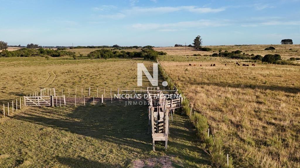 OPORTUNIDAD VENTA DE CHACRA 18 HAS 795 M2 ZONA DE