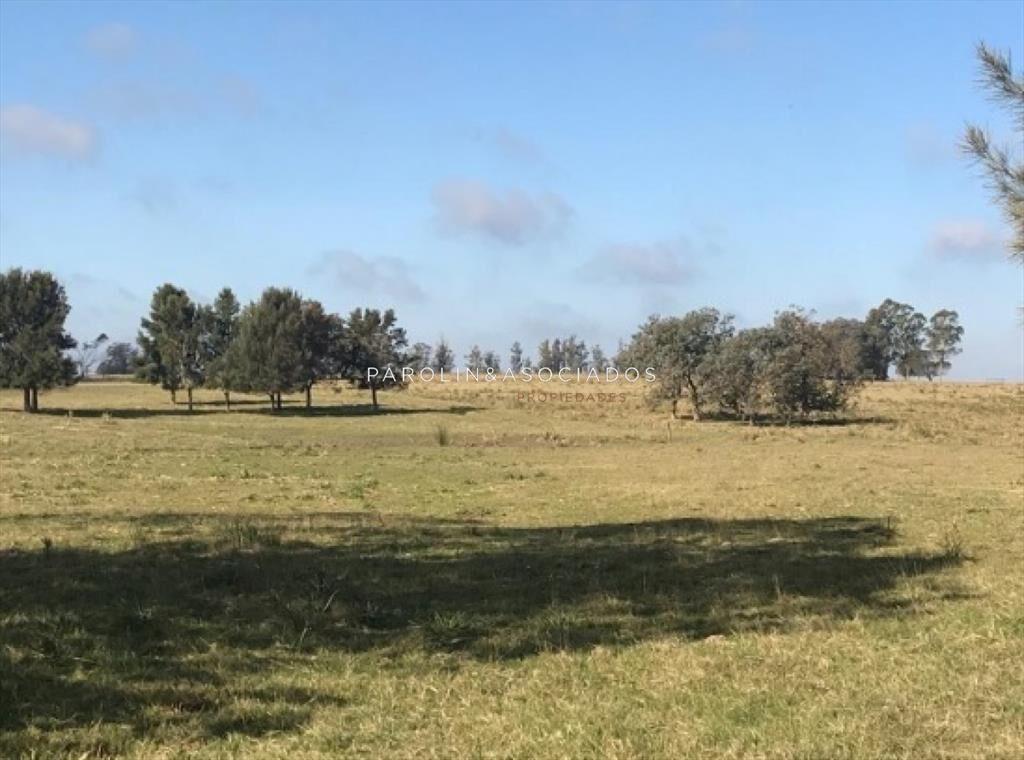 CHACRA 5 HECTAREAS EN HARAS DE MEDELLIN, PUNTA