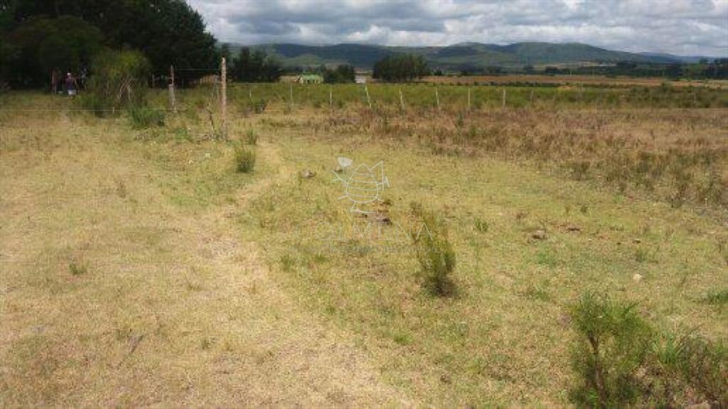 Campo 10 has con 6799 m2 cerca de ruta 8