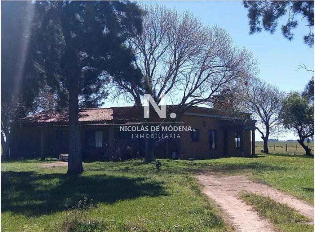 Vende Campo de 2 padrones en Treinta y tres.