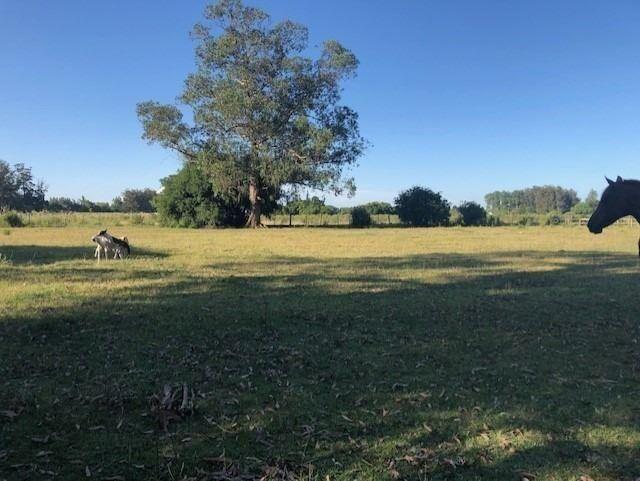 Venta Chacra Rural De Maldonado