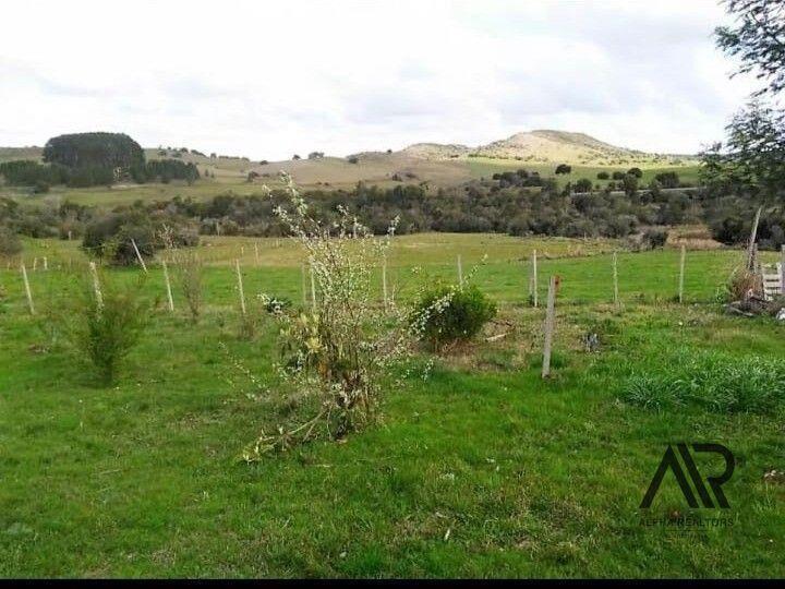 Campo en venta Lavalleja