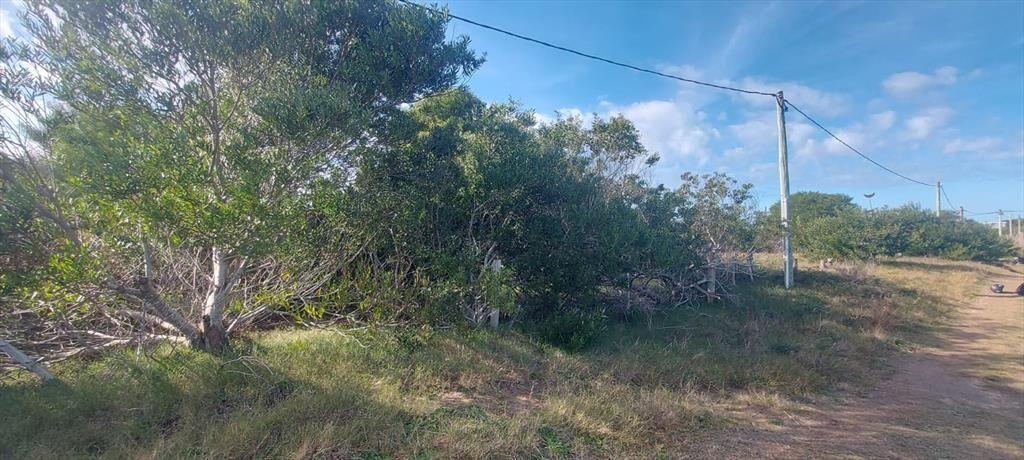 Terreno en Punta Rubia, Naturaleza, playa y futuro