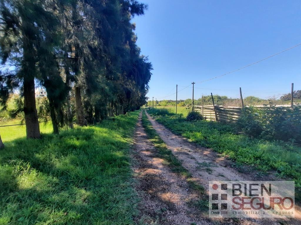 Muy linda chacra de 5,5 hás en venta Próximo a Osvaldo Rodr