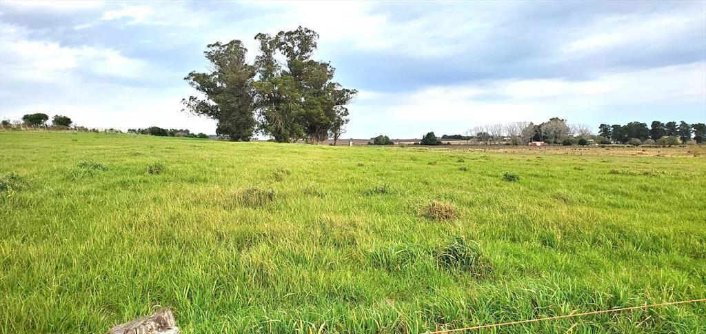 VENTA CHACRA RUTA 36 , KM 42.900 2 TAJAMARES