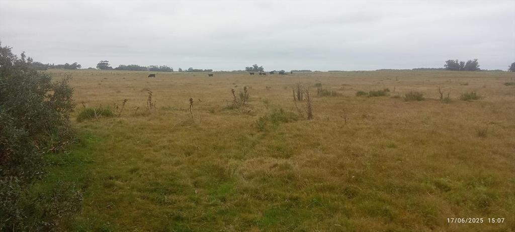 Campo en La Paloma