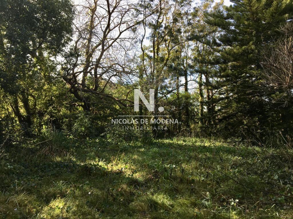 Gran terreno en venta ubicado en San Rafael, es
