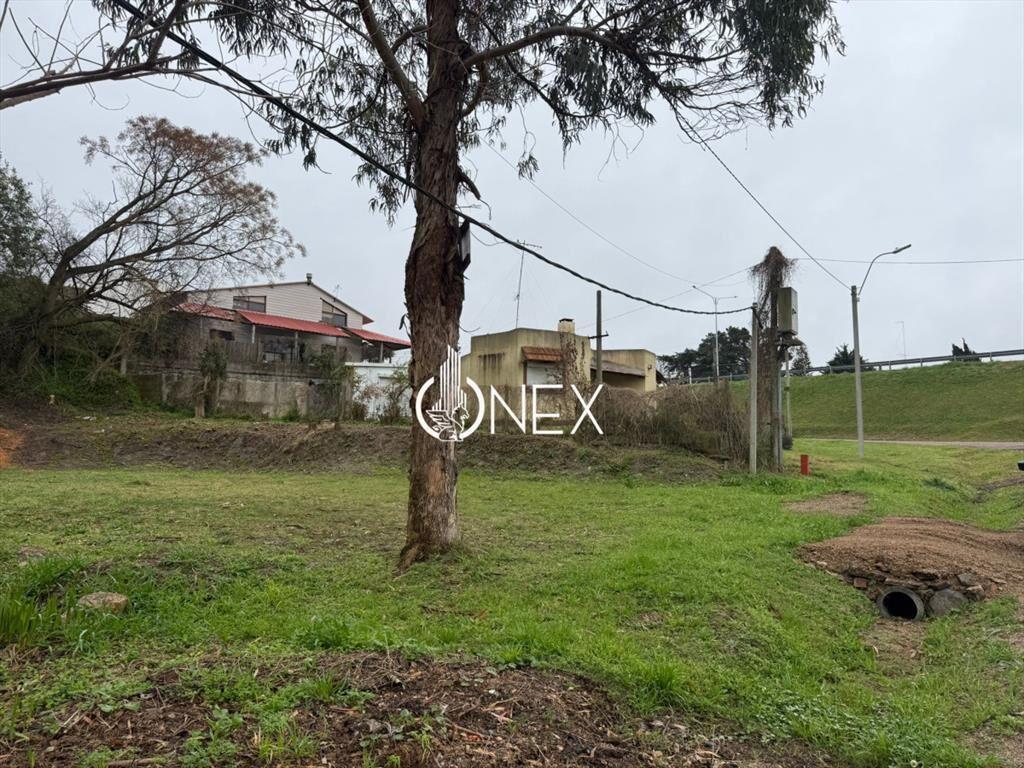 Se vende amplio terreno en Atlántida - USD