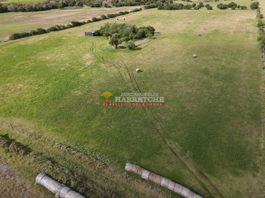 Chacra de 5 has en Los Cerrillos, cañada, muy