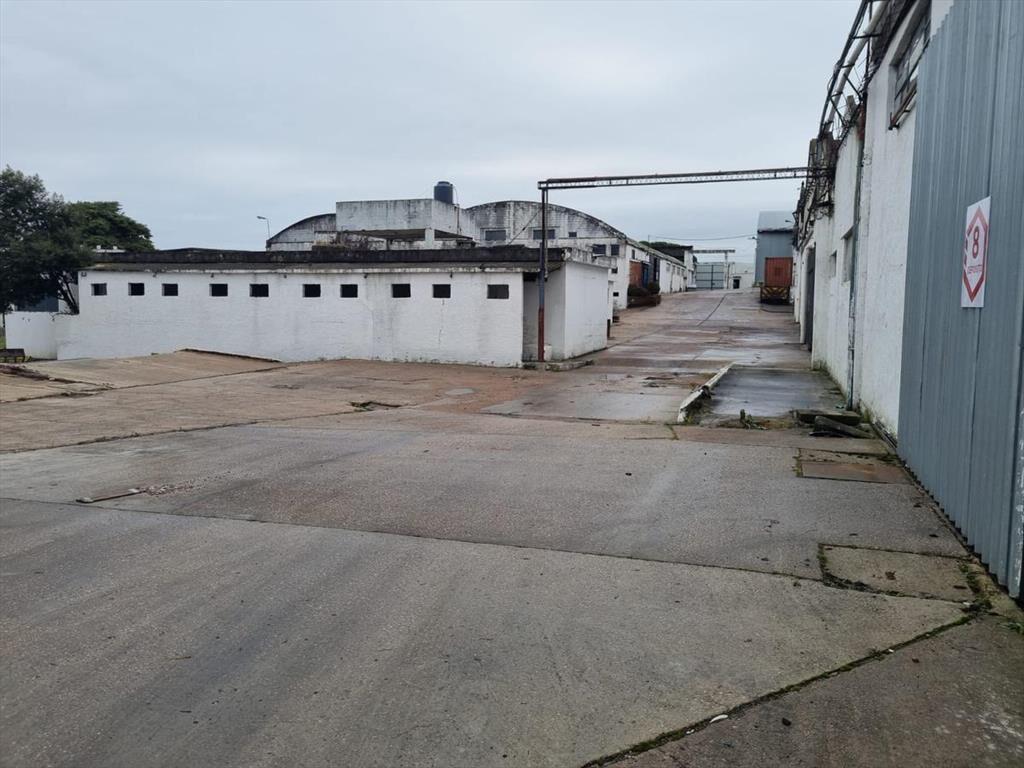 Depósito -Centro Logístico, ruta 67 próximo ruta 5,Las Pied