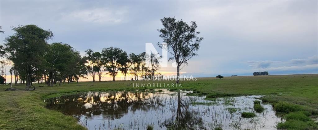 En venta campo en Treinta y Tres, ubicado a 12 de